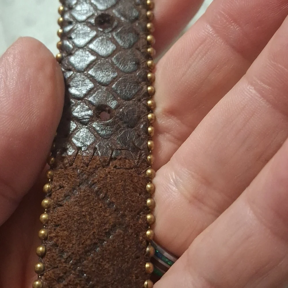 Elegant Gold Buckle Dark Brown Women's Belt